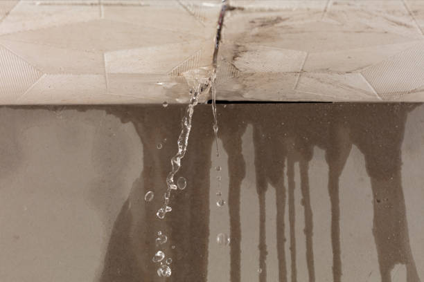 Professional Commercial Water Damage Restoration technician working in Romayor, TX